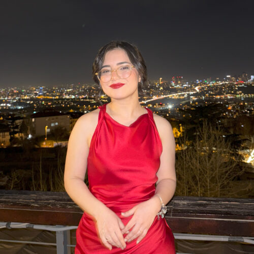 İrem Vergili